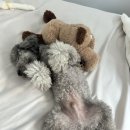 직천낚시터 | 임신후기 일상: 뜨거운 여름은 지나가고, 거거 맞이 준비 중