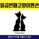 일곱번째고양이펜션