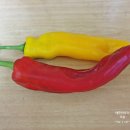 탐진축산 이미지