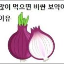 양파 많이 먹으면 비싼 보약이 필요 없는 이유 이미지