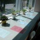 쌘뽈여자고등학교 이미지