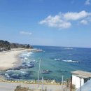 갈매기펜션 이미지