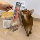 반려식탁 이미지