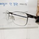 스테디세이프