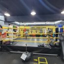 복싱바이러스 송파방이점 | 송파구복싱송파구 복싱바이러스 송파방이점 체험기와 후기