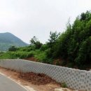 금오도공인중개사사무소 이미지