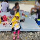 무릉계곡 오선녀탕 이미지