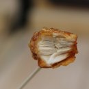삼우닭강정 - 안양시 만안구 냉천로 190 | 삼우닭강정