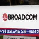 AI 우려에 브로드컴도 요동…HBM 신경전 가열 이미지