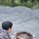 별밤농장 이미지