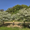 신대2리마을회관 이미지