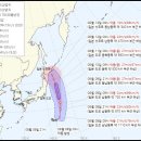 마리아님이 오신다구요? 이미지