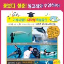씨월드 이미지