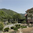 스테이브릴 이미지