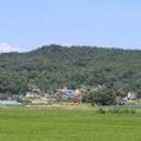 송진불한증막 이미지