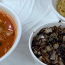 신비반점 이미지