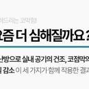 코시원이비인후과의원 네이버블로그