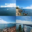 해운대블루라인(주)미포정거장 이미지