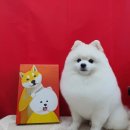 개린이미용실 이미지