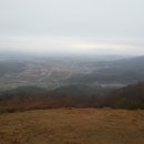 회귀-모정 이미지