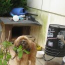 운남칼국수 이미지