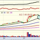 에스티네트웍스 이미지