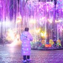 만안로 77번길 8 | 광명동굴 8월 국내여행지 추천 경기도 아이와 가볼만한곳 여름 실내 놀거리