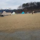 맘스힐링민박 | 충남 예산 애견캠핑장 피플앤독힐링캠핑장 방문후기