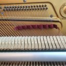 서울메네스음악학원 이미지