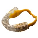 바이오슬립센터 이미지