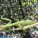 전통놀이지도사(야간) 이미지