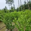 Archive Factory(아카이브팩토리) 이미지