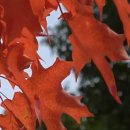 좋고좋다 이미지