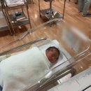 유방1통 | [출산후기] 안양 봄빛 병원 제왕절개 둘째 출산 후기 - 다인실/1인실A 병실