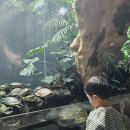 일중로 | 일산 아쿠아가든 아이와 다녀온 솔직 후기