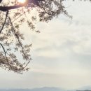 건지마을회관 네이버블로그