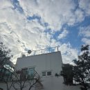 김삿갓막국수 방문 후기 리뷰 동치미막국수 별미에요