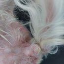 (주)라온메디칼 이미지