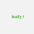 리피 스테이 이미지