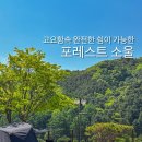 키즈포레스트 | [양평]완벽한 고요, 포레스트 소울 캠핑장 솔직 후기