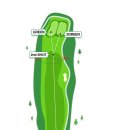 신안 퍼블릭 CC 이미지