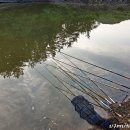 기덕농장 이미지