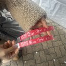 펫츠월드 | 25년 12월 서울세텍 | 궁팡 : 궁디팡팡 캣페스타 후기, 주차꿀팁