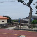 표선초등학교 운동장 이미지