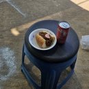 도로시 일상일기 :: 밀린 근황 일기 3