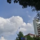 성황당어린이공원 이미지