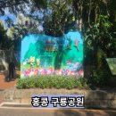 구룡 | 홍콩 구룡공원 관람 후기