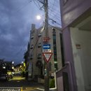 칠십리교 | [제주 여행] &#39;천지연 폭포&#39; - 공짜로 관람하는 꿀팁! 제주 디지털관광증 나우다