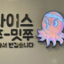 쭈꾸미도사부평 이미지