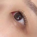 대구 동성로 속눈썹 펌 맛집 ‘클로우’ 속눈썹 U 컬 추천 후기